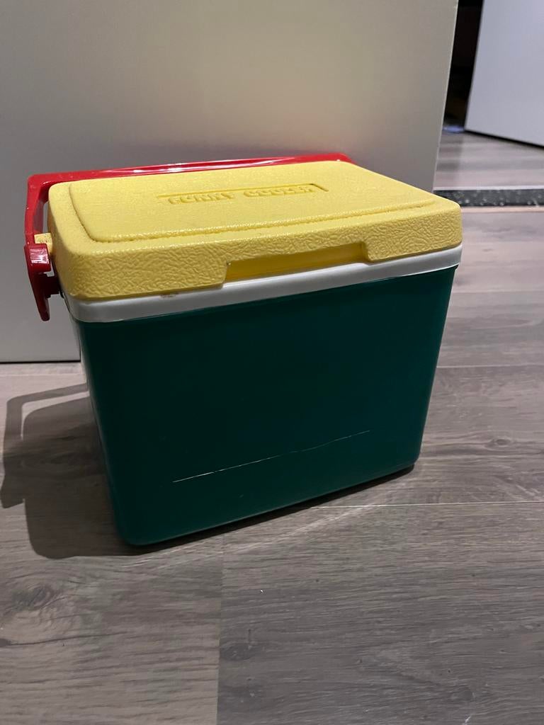 Polarbox Vintage Kühlbox Classic Cyan – Baby Rose 12 Lite