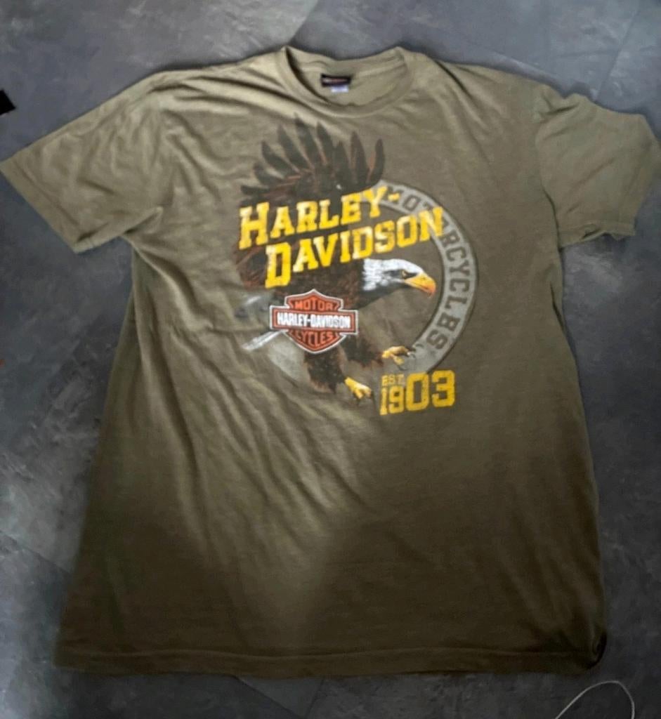 Zgan orgineel Harley Davidson shirt Mt L, Kleding | Heren, T-shirts, Maat 52/54 (L), Ophalen of Verzenden, Zo goed als nieuw, Harley Davidson