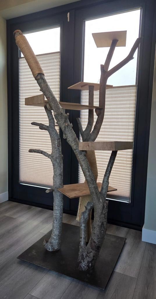 Kattenkrabpaal van boomstammen, Ophalen, Gebruikt, Krabpaal