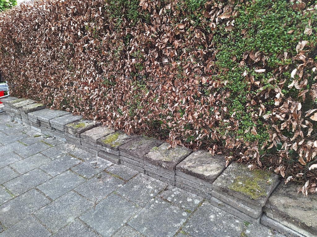 stoeptegels, Tuin en Terras, Tegels en Klinkers, Ophalen, Gebruikt, Overige typen, 10 m² of meer