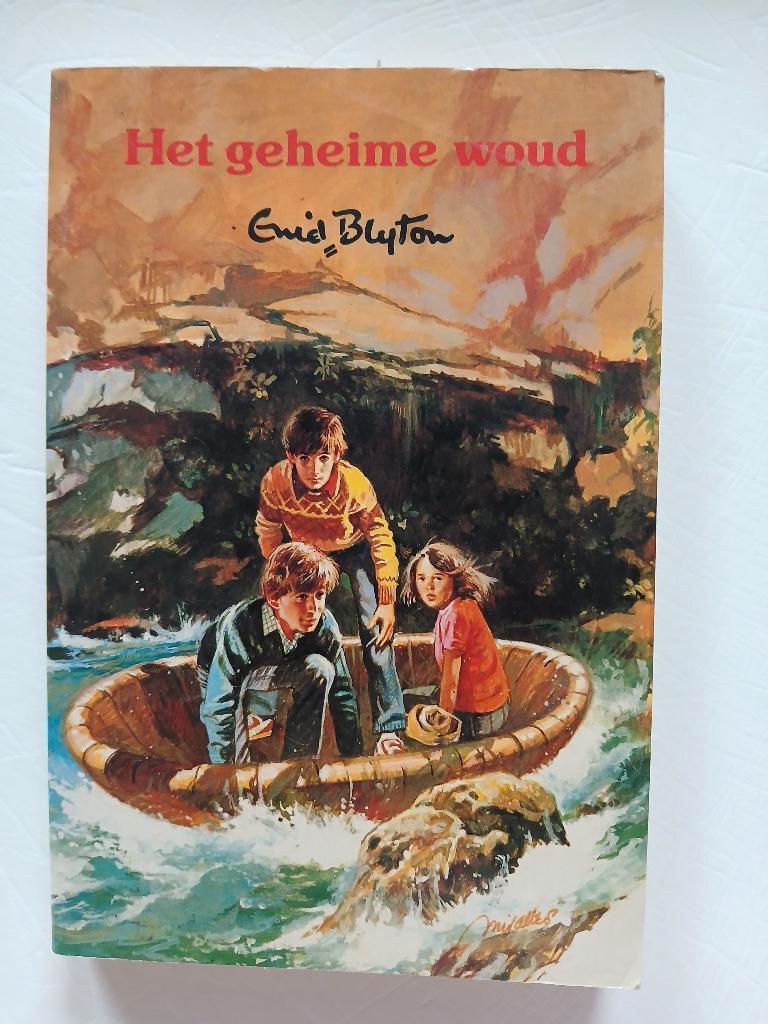 Enid Blyton - Het geheime woud, Ophalen of Verzenden, Zo goed als nieuw, Enid Blyton