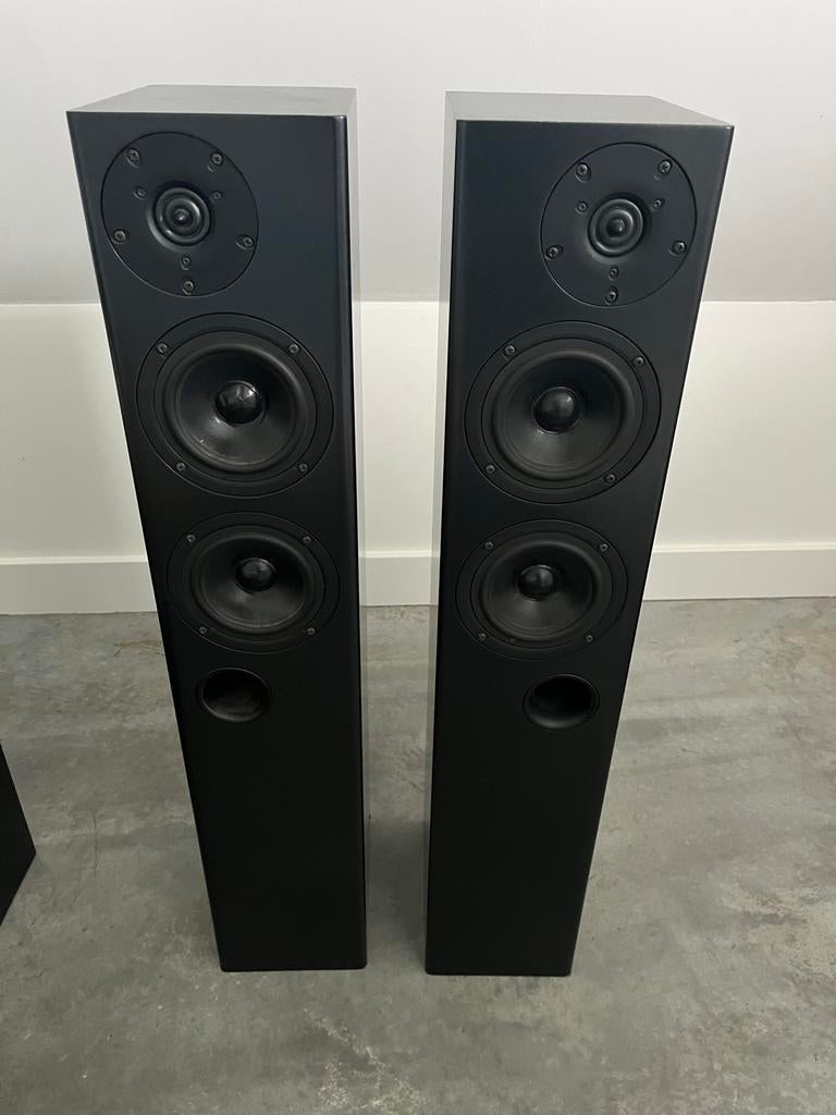 High-End 3-weg Hifi Vloerstaande Speakers Zelfbouw, Audio, Tv en Foto, Luidsprekers, Zo goed als nieuw, 120 watt of meer, Front, Rear of Stereo speakers