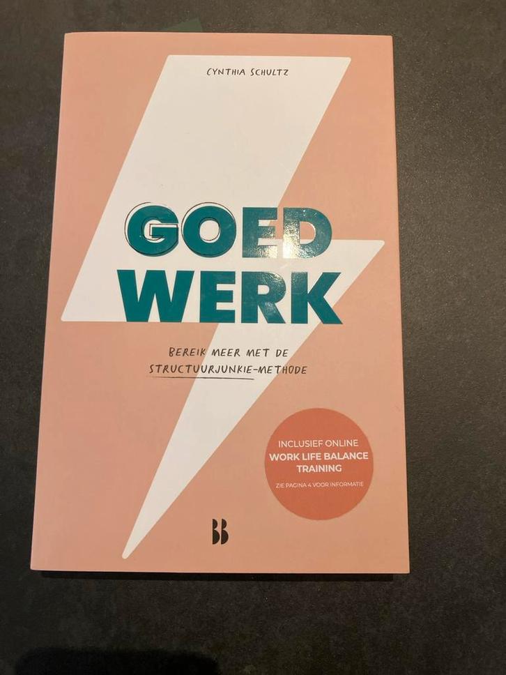 Goed Werk - Cynthia Schultz (Structuurjunkie), Boeken, Advies, Hulp en Training, Zo goed als nieuw, Ophalen of Verzenden