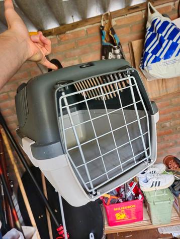 
 Te koop: Transportbox voor kat of kleine hond
 beschikbaar voor biedingen