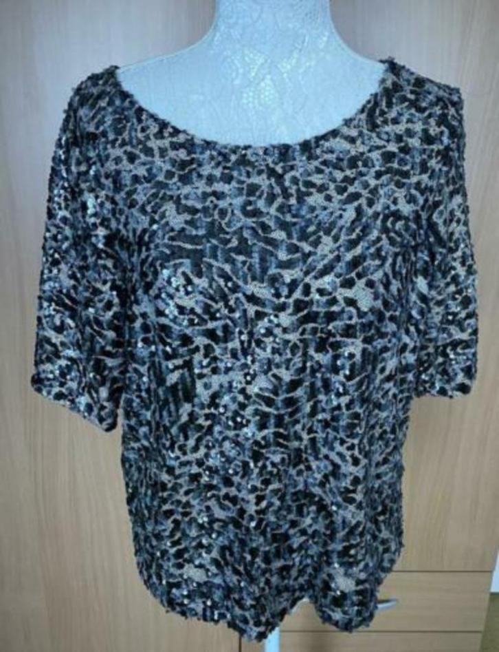 Next top maat 40, Kleding | Dames, Tops, Zo goed als nieuw, Maat 38/40 (M), Overige kleuren, Korte mouw, Ophalen of Verzenden