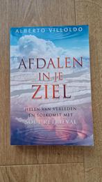 Alberto Villoldo - Afdalen in je ziel, Boeken, Ophalen of Verzenden, Gelezen, Alberto Villoldo, Overige typen