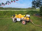 Pompoenen en kalebassen, Tuin en Terras, Bloembollen en Zaden, Ophalen