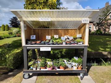 Tuinplanten en kamerplanten, kom maar langs! beschikbaar voor biedingen