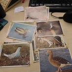 plaatjes voor album bondsspaarbanken 1970 natuurjaar vogels, Boeken, Verzenden, Gelezen