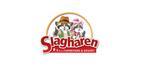 2kaartjes Slagharen, Drie personen of meer, Ticket of Toegangskaart