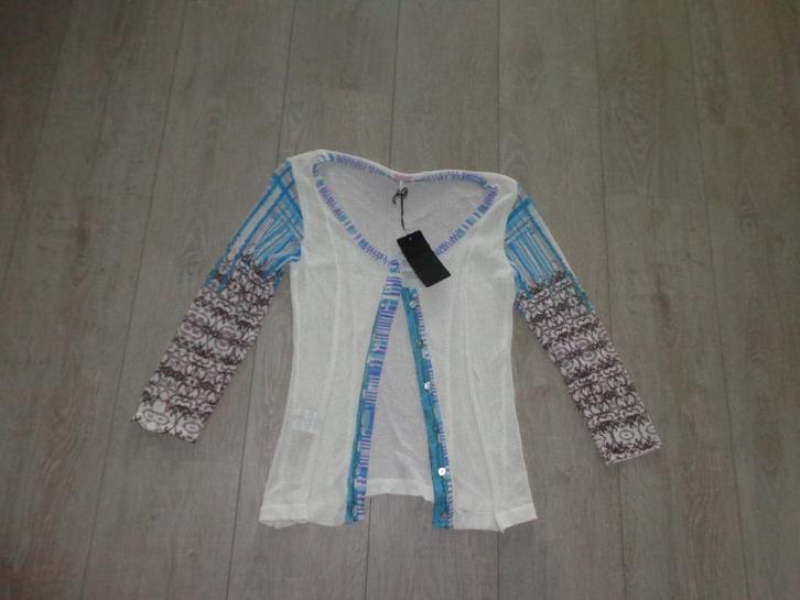 div damesvesten/truien, maat S, Superdy, Liu-Jo, Replay, Kleding | Dames, Truien en Vesten, Gedragen, Maat 36 (S), Ophalen of Verzenden