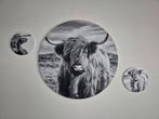 Muurcirkels Schotse Hooglanders - Set van 3, Ophalen of Verzenden, Zo goed als nieuw