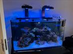Te koop redsea reefer 240 incl alle toebehoren, Dieren en Toebehoren, Vissen | Aquaria en Toebehoren, Ophalen, Zo goed als nieuw