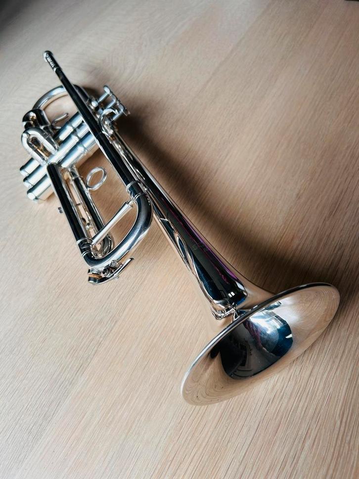 TR-600S Trompet Schagerl, Muziek en Instrumenten, Blaasinstrumenten | Trompetten, Zo goed als nieuw, Bes-trompet, Met koffer, Ophalen
