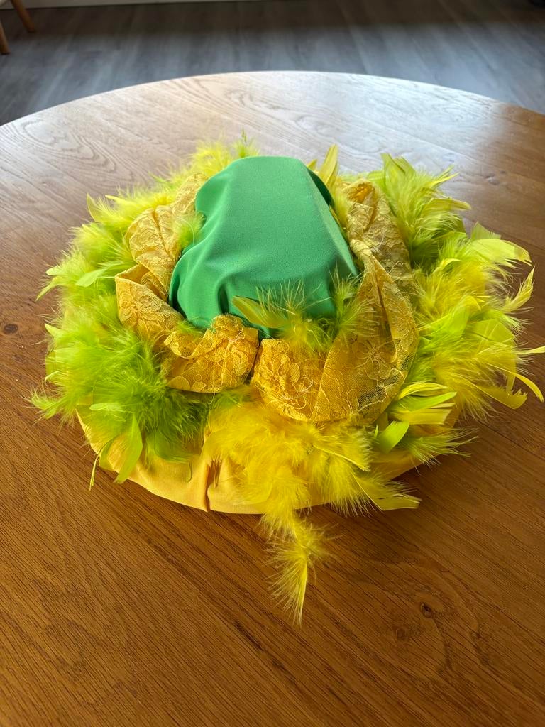 Te koop leuke carnavals hoed, Ophalen of Verzenden, Zo goed als nieuw, Carnaval, Accessoires