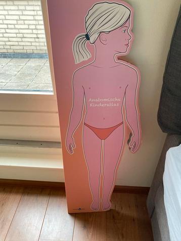 Anatomische Kinderatlas - Leerzaam! beschikbaar voor biedingen