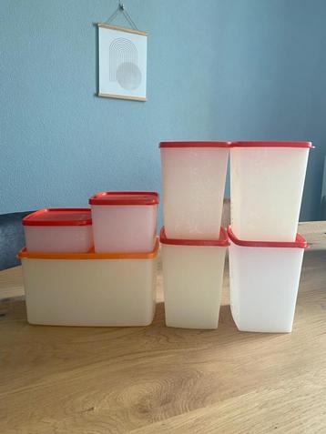 Tupperware diepvriesdozen beschikbaar voor biedingen