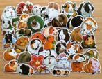 Cavia stickers, Verzenden, Nieuw, Meerdere stickers