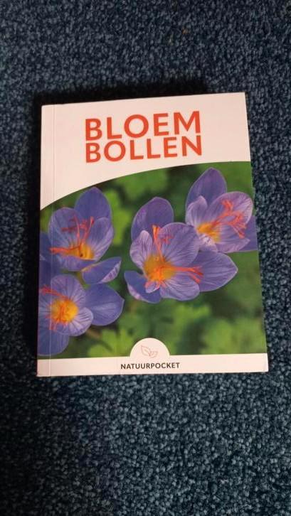 Bloembollen Natuurpocket - Nieuw!, Boeken, Hobby en Vrije tijd, Nieuw, Overige onderwerpen, Ophalen of Verzenden