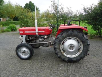 MF 135. beschikbaar voor biedingen