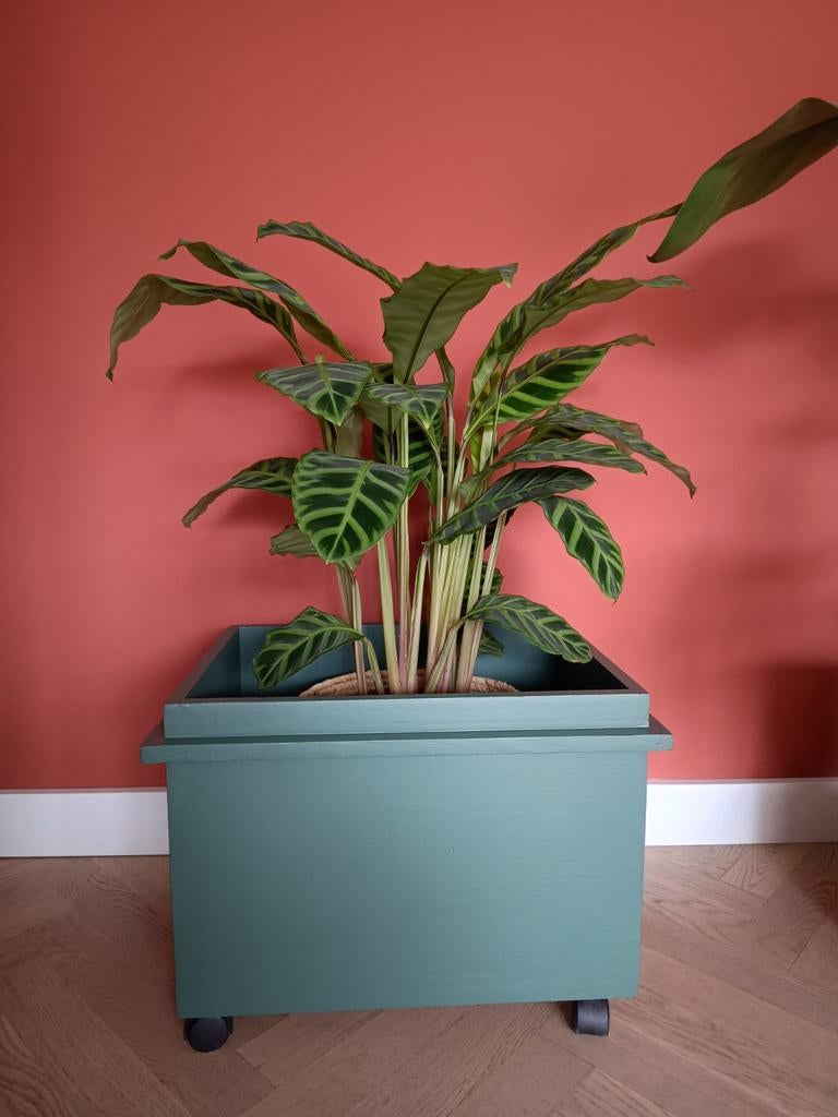 Mooi donkergroene kist op wieltjes, Ophalen, Minder dan 50 cm, 50 tot 100 cm, Zo goed als nieuw