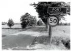 Foto Fort Gemeente Zuidwolde Paarden Jaren 70/80., 1960 tot 1980, Foto, Ophalen of Verzenden, Zo goed als nieuw