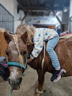 Mini Paardrijlesjes voor de allerkleinsten, Dieren en Toebehoren, Ophalen of Verzenden, Nieuw, Overige soorten