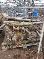 Haardhout, Minder dan 3 m³, Ophalen