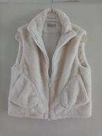 2 bodywarmers maat M, Kleding | Dames, Ophalen of Verzenden, Zo goed als nieuw, Maat 38/40 (M)