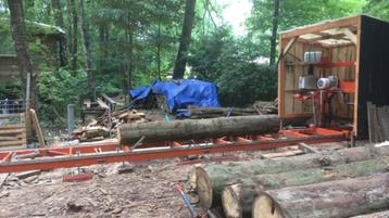 boolplanken per stam beschikbaar voor biedingen