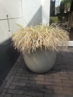Bloempot taupe, Tuin en Terras, Bloembakken en Plantenbakken, Ophalen, Kunststof, Gebruikt, Minder dan 30 cm