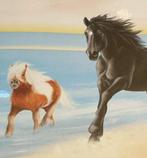 Hulp gezocht voor onze 2 leuke pony's., Ophalen