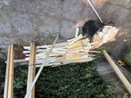 hout, Doe-het-zelf en Verbouw, Hout en Planken, Ophalen, Overige typen, Zo goed als nieuw, 50 mm of meer