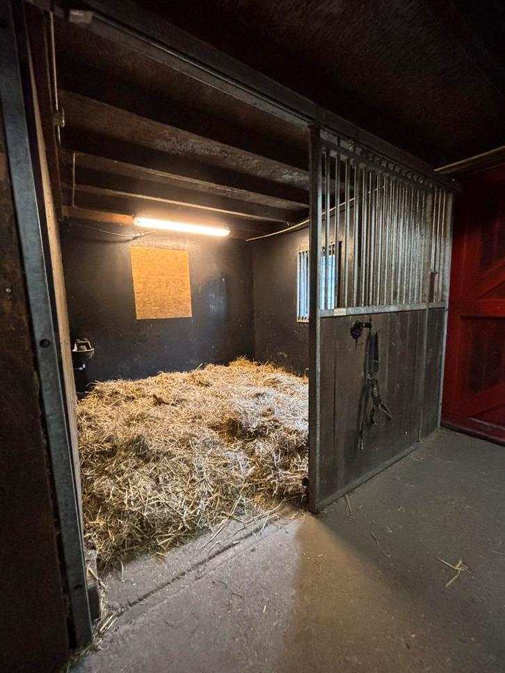 Trainingspaard (box vrij), Dieren en Toebehoren, Paarden en Pony's | Overige Paardenspullen, Nieuw, Overige soorten, Ophalen