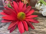 Nieuwe partij kunstbloemen/ rood/ versiering/ decoratie, Binnen, 3811 JM, Info@rodebeagle.nl, Rode Beagle kunstbloemen