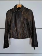 Dames biker jack echt leer maat s., Ophalen, Zo goed als nieuw, Maat 38/40 (M), Bruin