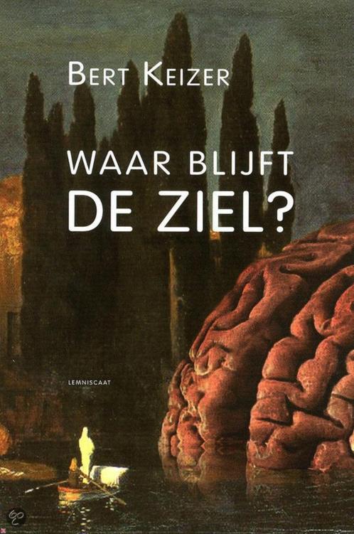 Waar blijft de ziel?, Boeken, Esoterie en Spiritualiteit, Zo goed als nieuw, Achtergrond en Informatie, Spiritualiteit algemeen