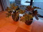 Kunstplant in plastic pot, Huis en Inrichting, Ophalen of Verzenden, Nieuw, Binnen
