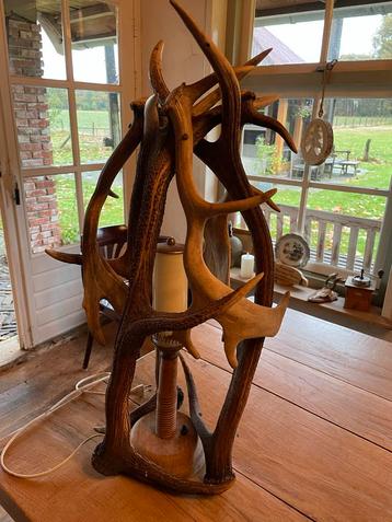 Bijzondere Geweienlamp, 6 hertengeweien, decoratie beschikbaar voor biedingen