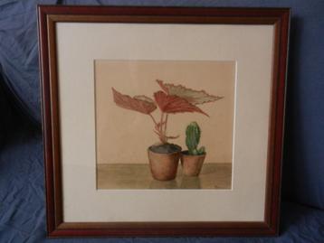 Aquarel Stllleven met bloempotjes Ary Swanevelt (1900-1961) beschikbaar voor biedingen