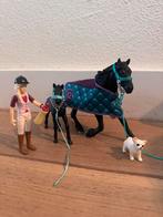 Schleich paard met veulen, poppetje en hond, Ophalen of Verzenden, Zo goed als nieuw, Overige typen