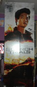 The Maze Runner Bioscoop Pop-Up Poster, Verzamelen, Posters, Rechthoekig Staand, Deurposter of groter, Ophalen of Verzenden, Zo goed als nieuw