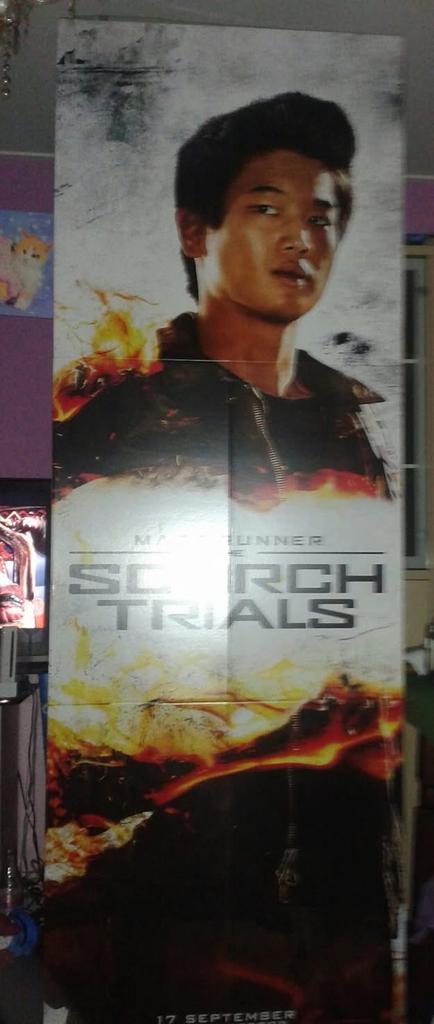 The Maze Runner Bioscoop Pop-Up Poster, Verzamelen, Posters, Zo goed als nieuw, Film en Tv, Deurposter of groter, Rechthoekig Staand