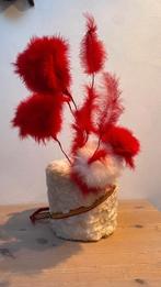 Kolbak (wit met rood), Maat 52/54 (L), Carnaval, P. Tegelaar, Dordrecht, Ophalen of Verzenden