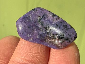 Charoiet Top kwaliteit broekzaksteen mineralen beschikbaar voor biedingen