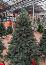 Intratuin Triumph Tree Romagne blauw kerstboom 185 cm, Diversen, Kerst, Ophalen, Nieuw