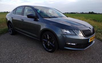 Skoda Octavia 1.0TSI Dsg-7 2017 Xenon Navi Trekhaak Flippers beschikbaar voor biedingen