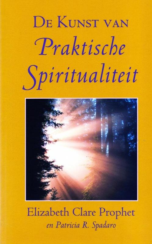 De Kunst Van Praktische Spiritualiteit / 9789080532670, Boeken, Esoterie en Spiritualiteit, Zo goed als nieuw, Achtergrond en Informatie