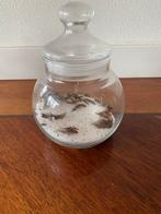 Glazen Pot met Deksel - Decoratief of Functioneel, Huis en Inrichting, Woonaccessoires | Vazen, Overige kleuren, Ophalen of Verzenden