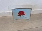 Fotolijst glas 15 cm 10 cm gebogen gekromd, Ophalen of Verzenden, Zo goed als nieuw